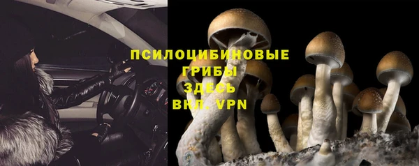 apvp Арсеньев