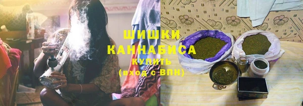 ПСИЛОЦИБИНОВЫЕ ГРИБЫ Баксан