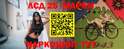 Альфа ПВП Новодвинск