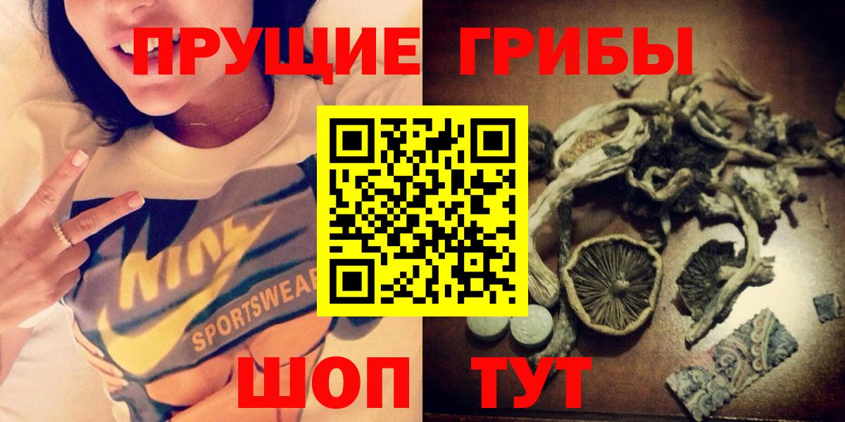 Галлюциногенные грибы Psilocybe Борзя