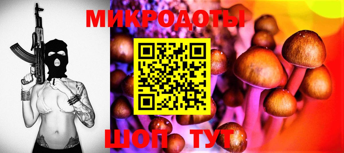 цены   Вход с VPN  Борзя  Псилоцибиновые грибы Cubensis 